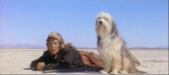 a-boy-and-his-dog-don-johnson-and-tiger1