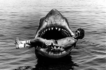 Spielberg and "Bruce"