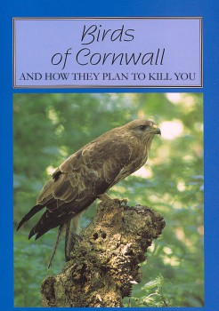 birds-of-cornwall-killer-cover