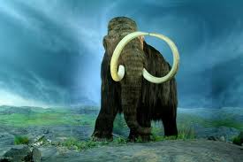 hey-a-mammoth