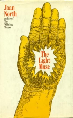 The Light Maze