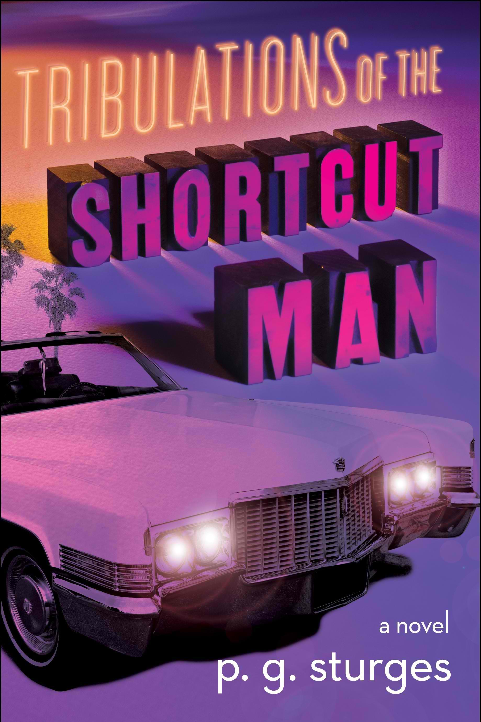 ap-book-review-shortcut-man-17944457jpg