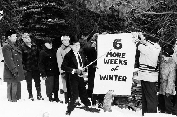 groundhog-day-1961-report_12532_600x450