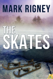 Skate cover