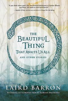 Beutiful Thing that Awaits Us All book cover