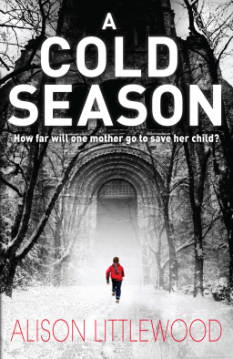 A Cold Season-small