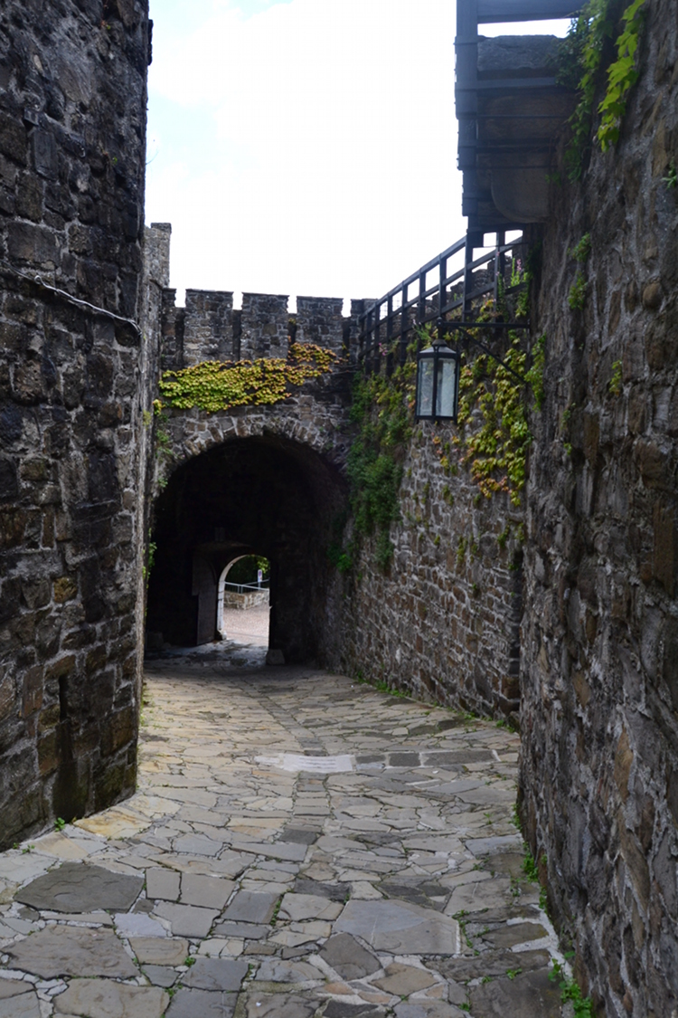 The gate from the interior.