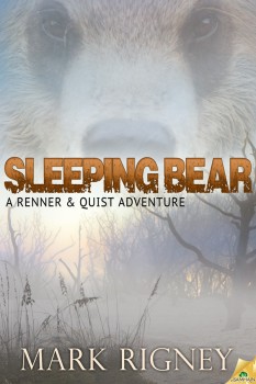 Sleeping Bear cover