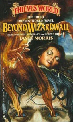 Beyond Wizardwall Ace paperback-small