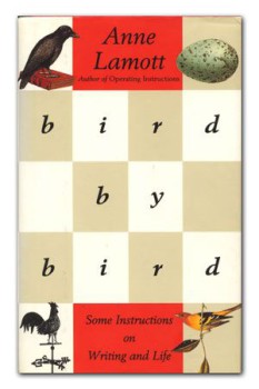 bird-by-bird