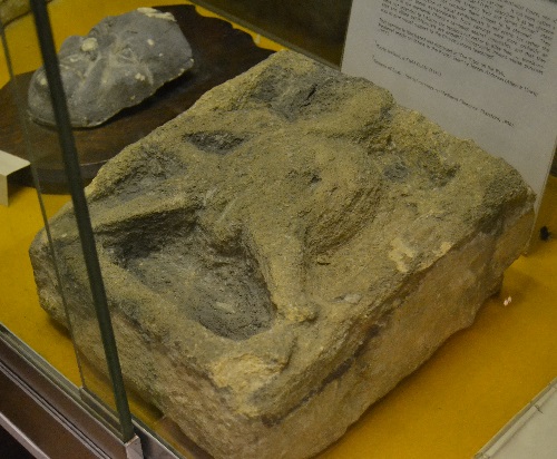 A small museum has some interesting items such as this sheela-na-gig. These explicity sexual female figures are found on many churches in the UK and Ireland. thier meaning is unclear.