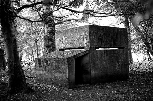 This pillbox is one of a set of four built to protect the munitions stored in Newton Aycliffe, County Durham. Photo courtesy user Paul via flickr