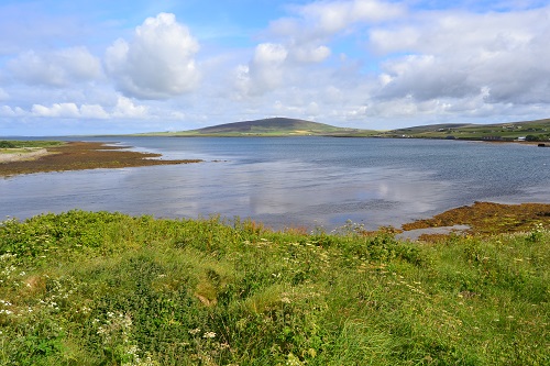 View from pillbox out into the Bay of Firth. a good field of fire! Photo by Sean McLachlan.