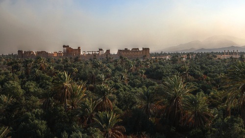 The oasis of Palmyra. Photo courtesy Ed Brambley.
