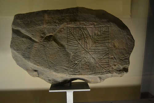 Many carved stones have been found on the islands. The portable ones are now preserved in museums. Sadly, some of those remaining in the countryside have been vandalized.