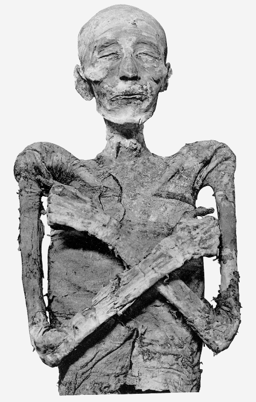 Merneptah_mummy