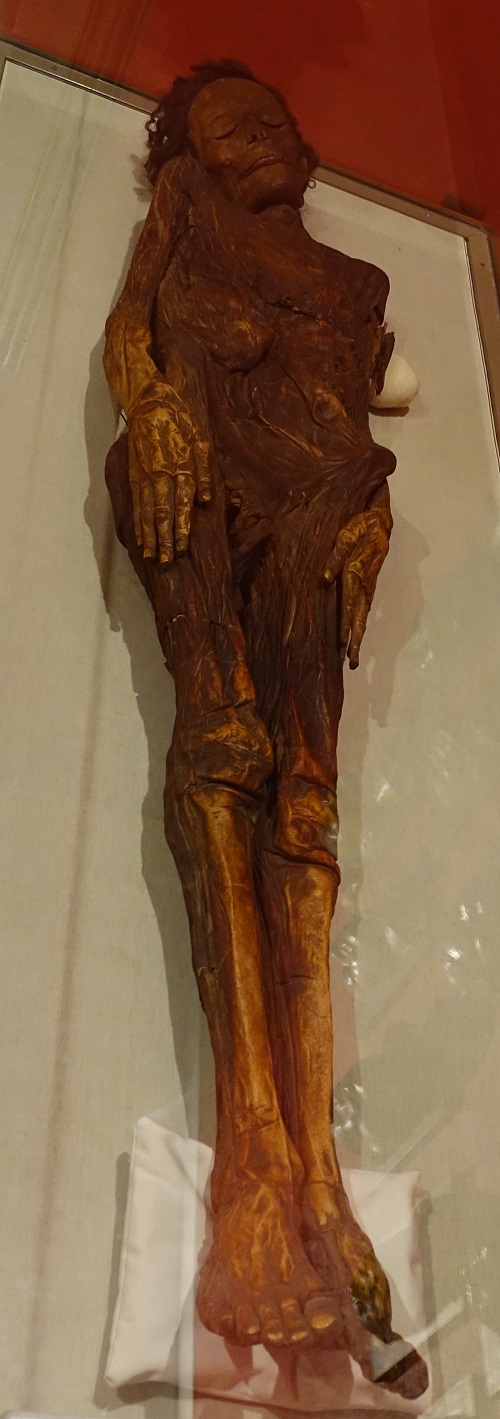 Guanche mummy of the Museo Nacional de Antropología (National Museum of Anthropology), Madrid, Spain