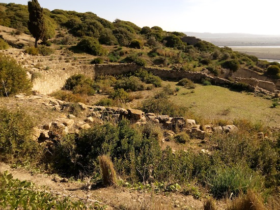 The amphitheater of Lixus. Photo courtesy Almudeana Alonso-Herrero.