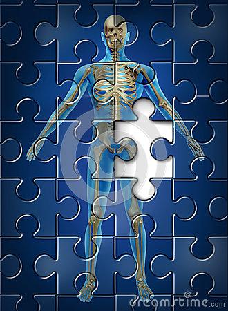 skeleton puzzle