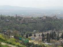 Alhambra whole