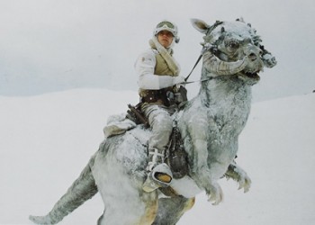 tauntaun