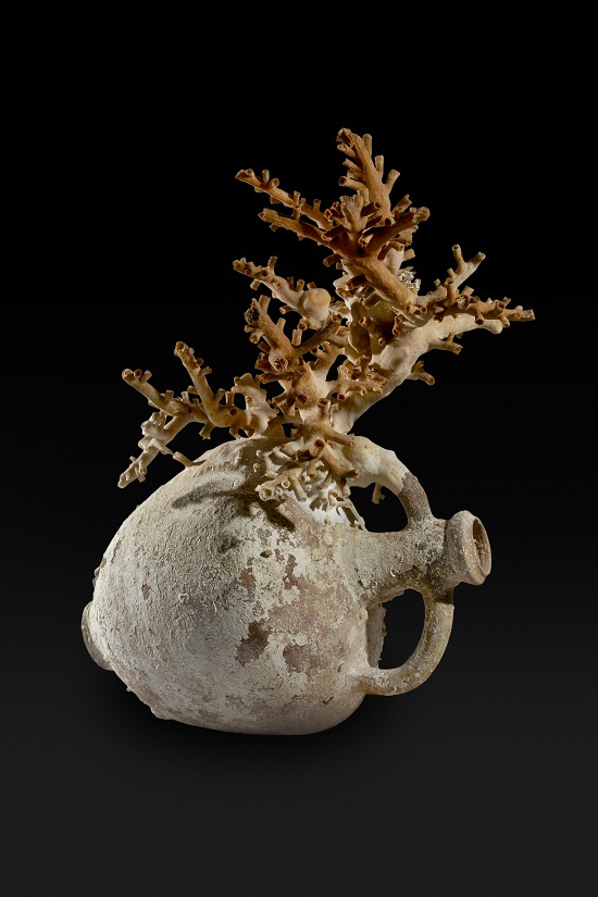 3. Amphora with coral. Lent by Soprintendenza del Mare -® Ashmolean Museum, University of Oxford