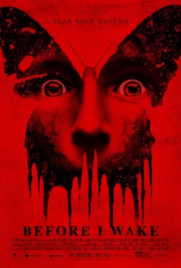 Before I Wake