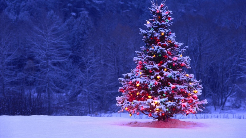 black-gate-christmas-tree-small