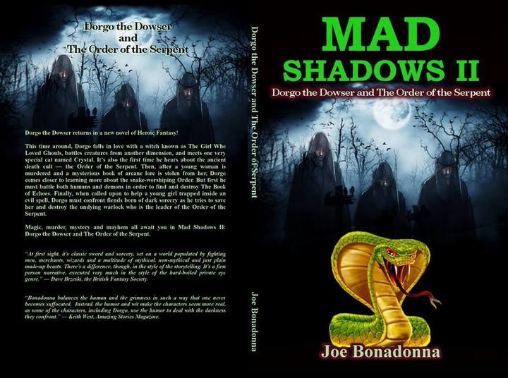 Mad Shadows 2 cover by Erika M. Szabo wrap-small