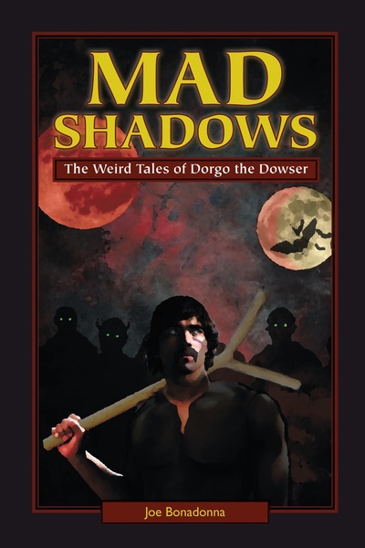 Mad Shadows cover by David M. Stanley-small