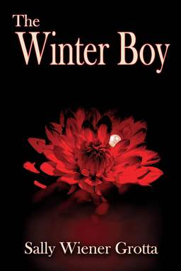 The Winter Boy Grotta-small