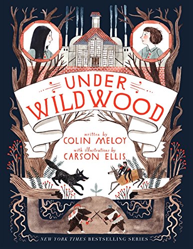 Under Wildwood Colin Meloy-small