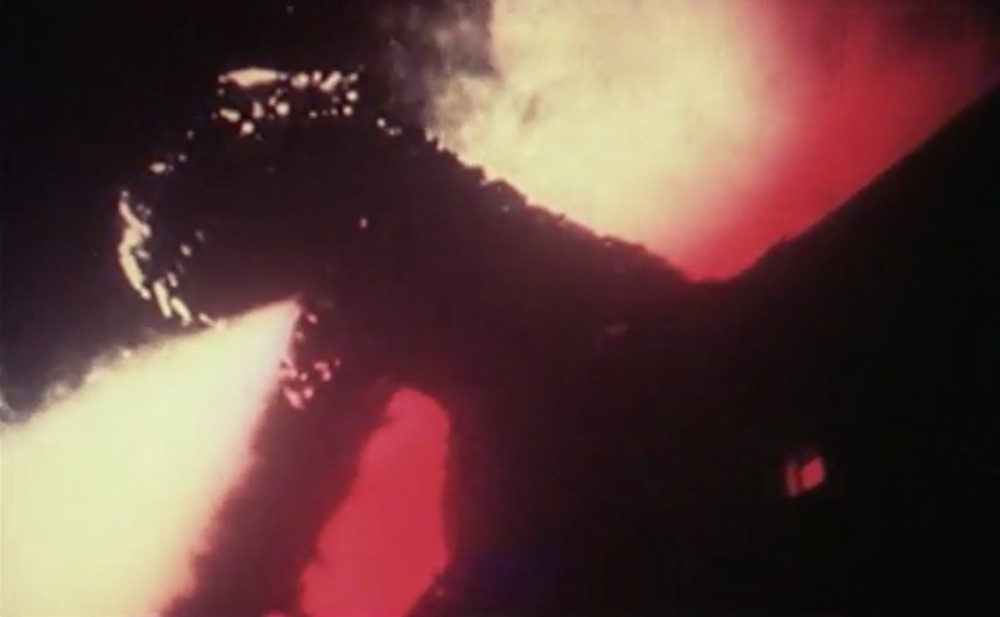 godzilla-cozzilla-film-image