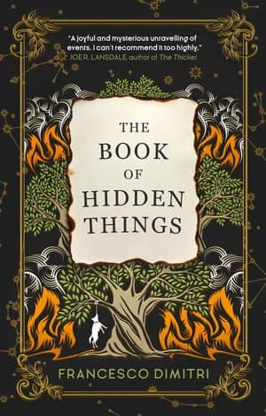 The Book of Hidden Things-small