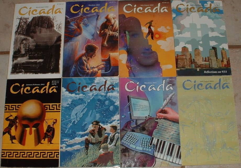 Cicada magazine lot-small