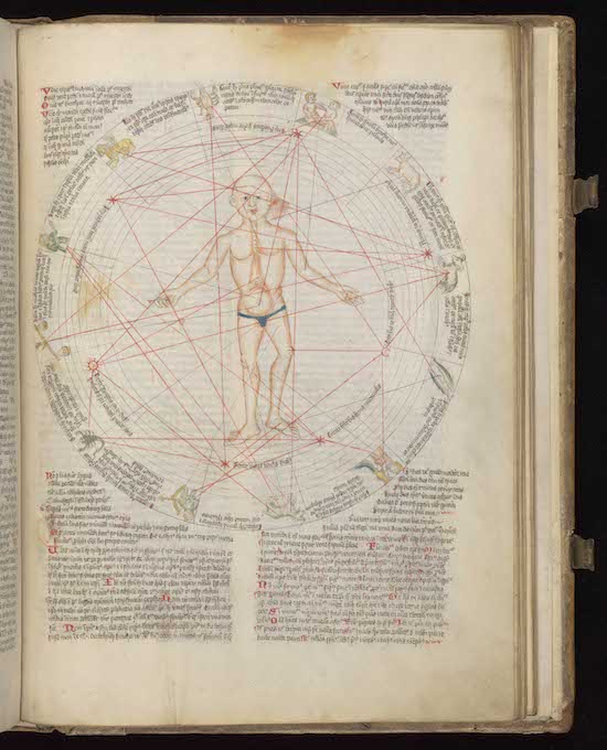 Microcosmic man (c) Wellcome Library, London