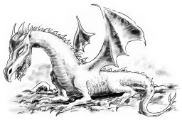 Dragon by Tomas Arfert