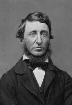 henry david thoreau