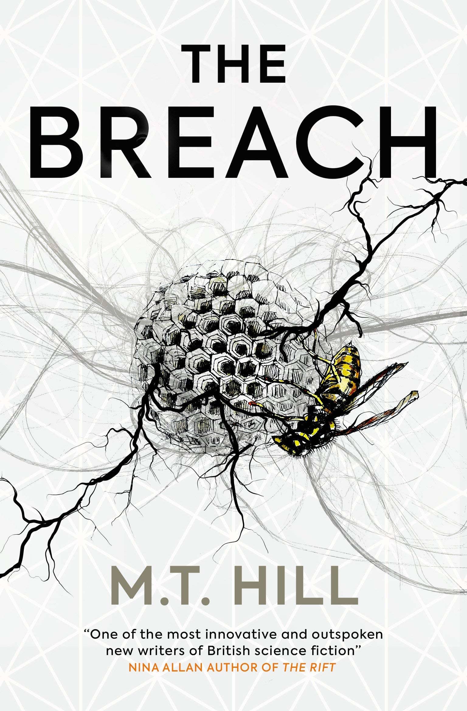 New Treasures The Breach by M.T. Hill Black Gate
