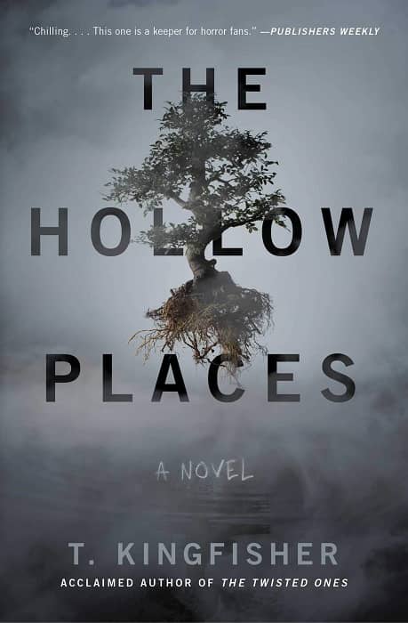 The Hollow Places-small